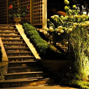 Photo of Erickson Outdoor Lighting