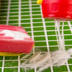 Photo of Gardner 1 Touch Carpet Cleaning