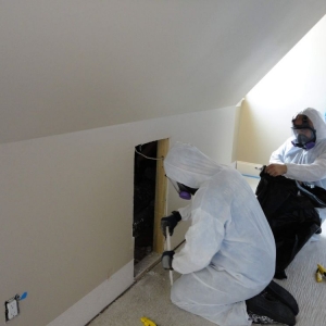 Photo of Kace Restoration
