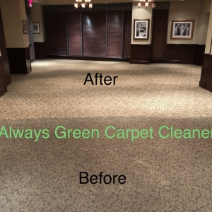 Photo of Always Green Carpet Cleaner