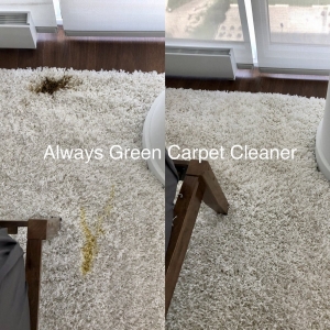 Photo of Always Green Carpet Cleaner