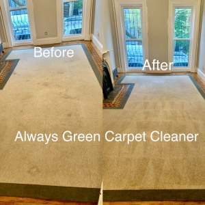 Photo of Always Green Carpet Cleaner