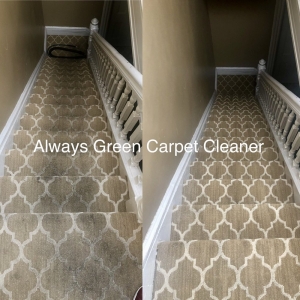 Photo of Always Green Carpet Cleaner