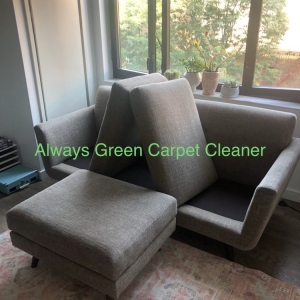 Photo of Always Green Carpet Cleaner