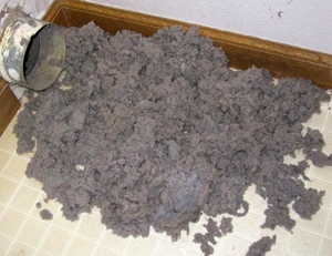 Photo of Ez Air Duct and Dryer Vent Cleaning