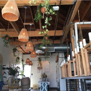 Photo of Electricalifornia