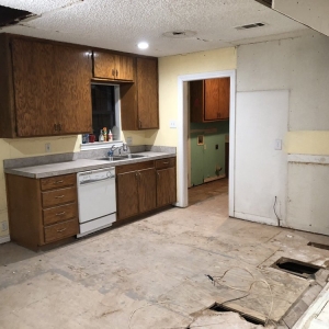 Arlington Pro Brush Painting And Remodeling