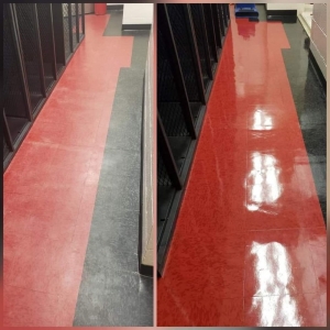 Photo of Carolina Shine Flooring Solutions