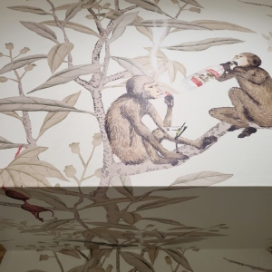 Photo of WD Wallpaper Removal & Installation