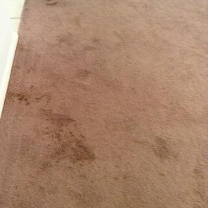 Photo of All Clean Houston