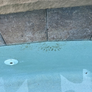 Antioch Davidson Pools