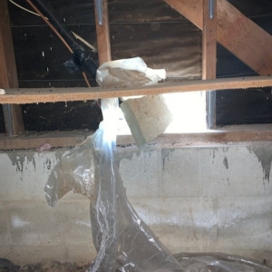 Photo of Crawl Space Advisors