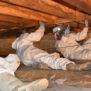 Photo of Crawl Space Advisors