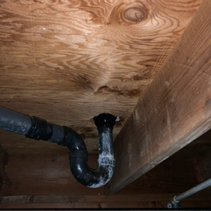 Photo of Crawl Space Advisors