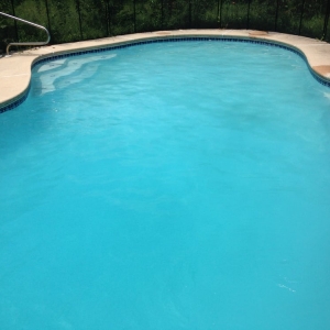 Photo of Watermark Swimming Pool and Spa Services