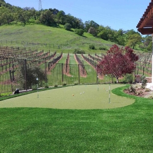 Photo of Field of Green