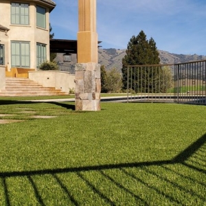 Photo of Field of Green