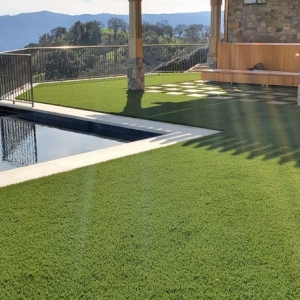 Photo of Field of Green