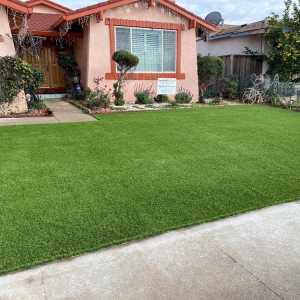 Photo of Field of Green