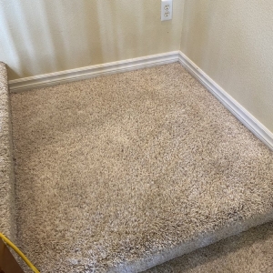 Photo of Infinity Carpet Cleaning