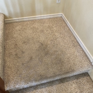 Photo of Infinity Carpet Cleaning