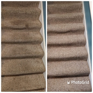 Photo of Infinity Carpet Cleaning