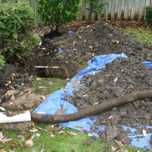 Photo of Pacific Plumbing & Drain Services