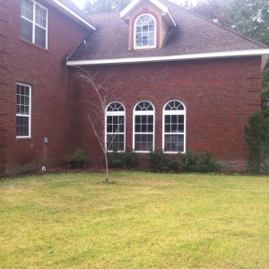 Photo of Barry Martin Masonry