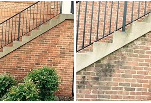 Photo of Hydra Pressure Washing