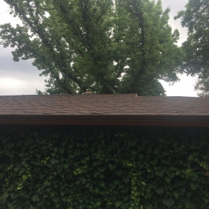 Photo of Southern Restoration Services