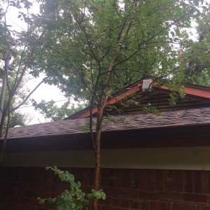 Photo of Southern Restoration Services
