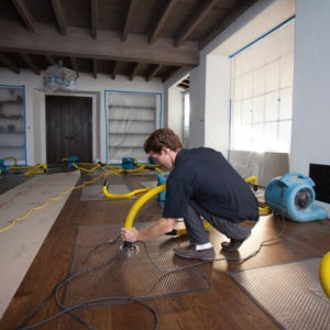 Photo of Organic Rug Cleaners