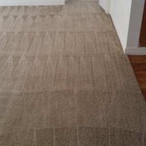 Photo of Hill Country Carpet Cleaning