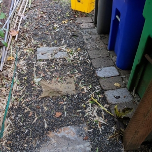 Photo of Aloes Landscape And Maintenance
