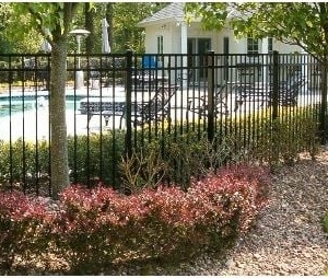 Photo of Frontier Fence