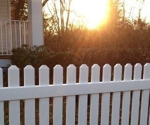 Photo of Frontier Fence