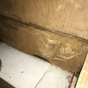 Photo of Moldex The Mold Experts