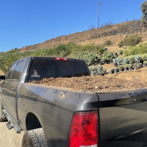 Photo of San Diego Landscape Supply