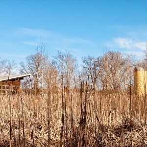 Photo of Beckley Creek Park
