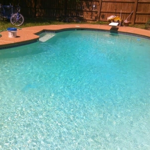 Photo of Palm Oasis Pool Care