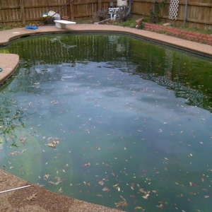Photo of Palm Oasis Pool Care