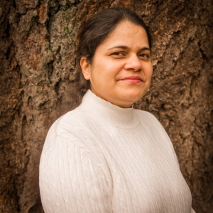 Photo of Anaya Associate PLLC , CPA firm