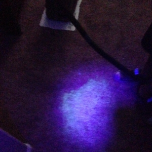 Photo of Ecodry Carpet Cleaning