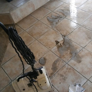 Photo of Ecodry Carpet Cleaning