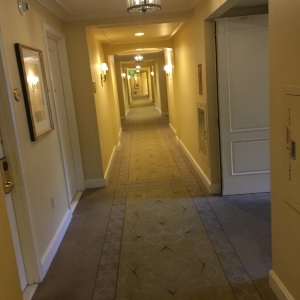 Photo of Ecodry Carpet Cleaning