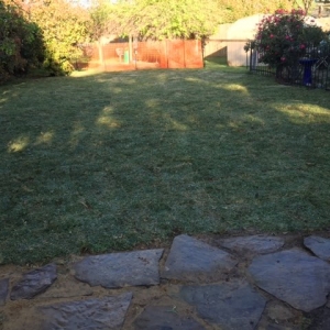 Photo of Clear Environmental