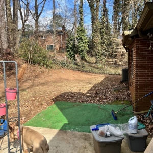Photo of Humble Harvest Garden