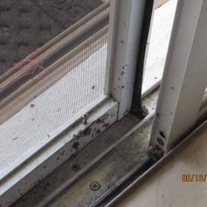 Photo of Atlantic Window Cleaning