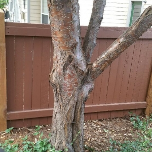 Photo of A Step Above Property Services