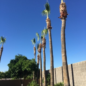 Photo of M&M Landscaping And Lawn Service